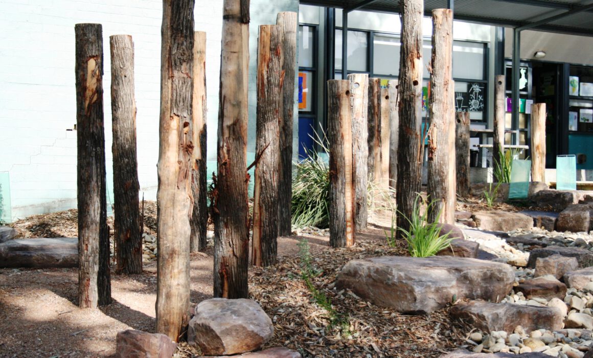 Dry creek bed school Landscape