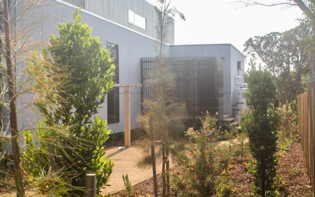 Landscape garden construction Anglesea screening