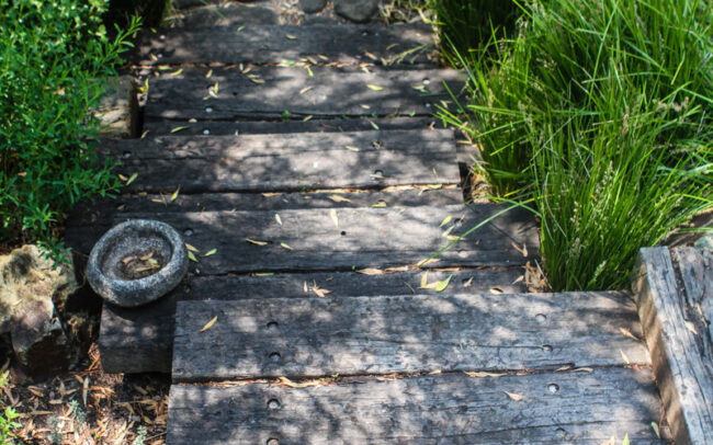 Native Landscape garden Lorne steps