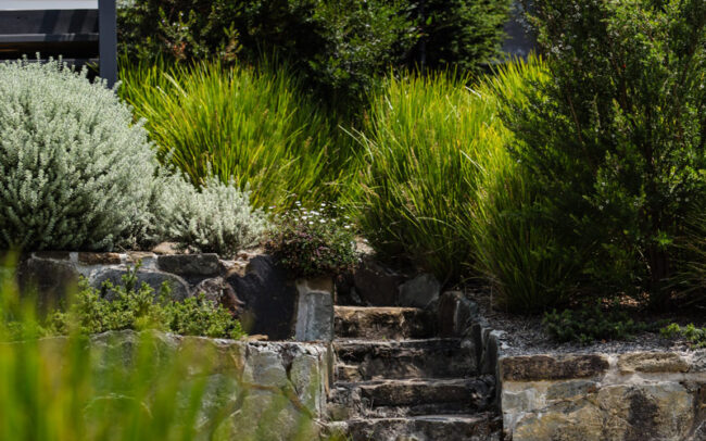 Native Landscape garden Lorne stone walls