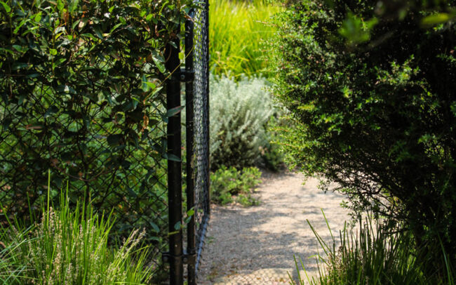 Native Landscape garden path Lorne