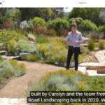 Coastal Native Garden. Ocean Road Landscaping. Chloe goes behind the garden gate of a colourful Australian native garden transformed from a challenging block into a tranquil and family friendly seaside oasis. Subscribe 🔔 / @beantheredugthat