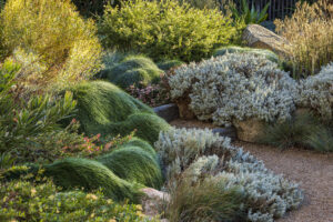 2025 Landscaping Victoria Awards- Softscaping in the Landscape GOLD WINNER